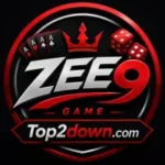 Zee9 Game