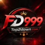 FD999 Game